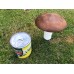 GIANT Mushroom & Toadstool 3D Printed cache